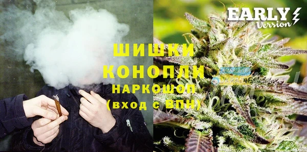 шишки Алексеевка