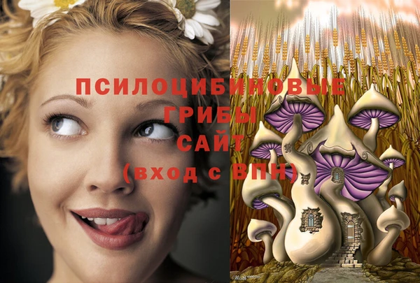 бутират Алексин